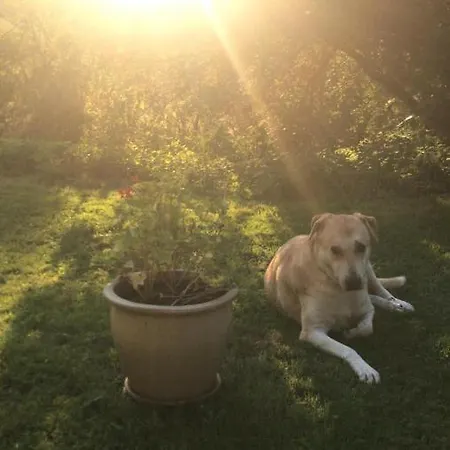 Frühstückspension Maison Helise La Croix-aux-Mines