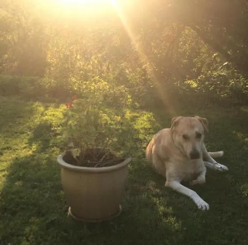 Panzió Maison Helise La Croix-aux-Mines